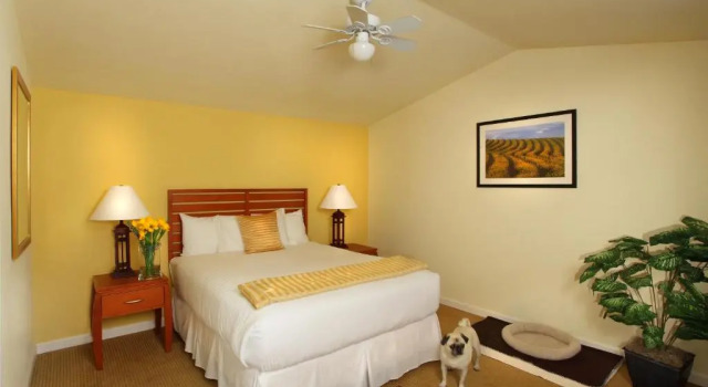 Номер Standard West Sonoma Inn & Spa
