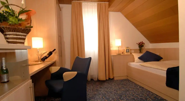 Номер Business Adler Hotel Garni