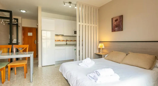 Студия Apartamentos Guerrero