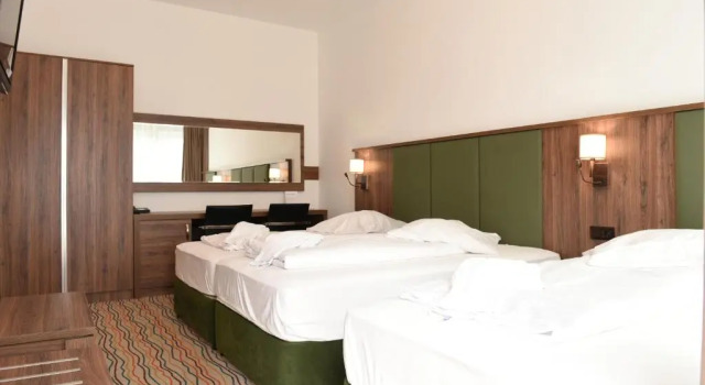 Трёхместный номер Standard Hotel Olive Inn