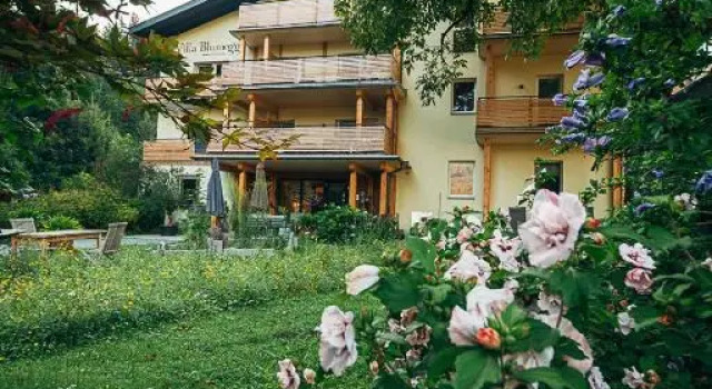 Номер Standard Villa Blumegg