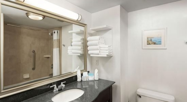 Номер Standard Hampton Inn & Suites by Hilton Barrie