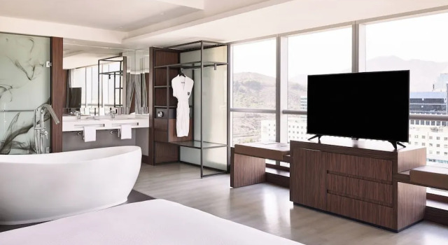 Люкс c 1 комнатой AC Hotel by Marriott Santiago Cenco Costanera