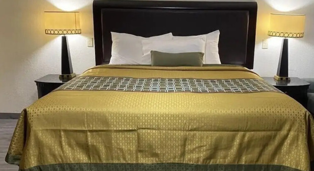 Palomino motel