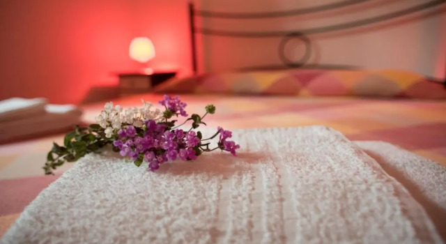 Апартаменты c 1 комнатой Red Rose B&B
