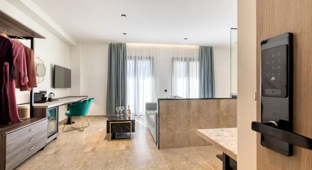 Двухместный номер Deluxe с балконом Athens Ivy Suites