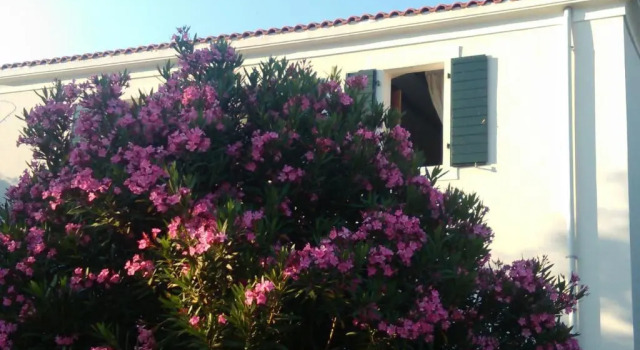 Holiday house KORNIC, Book Vacation Home Hotels in Kvarner Islands with a Pool, Swimming Pool
