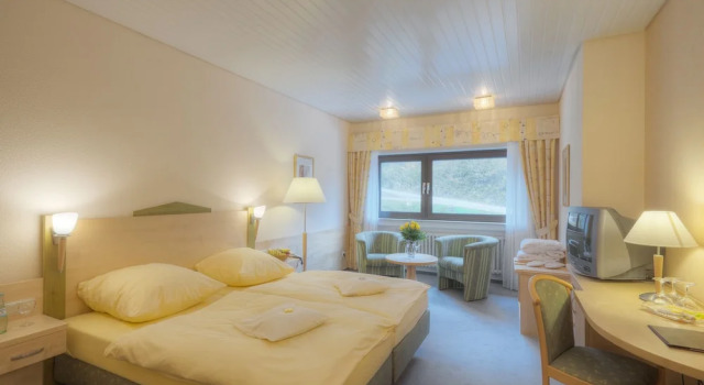 Одноместный номер Standard с видом на окрестности Waldhotel Sonnenberg