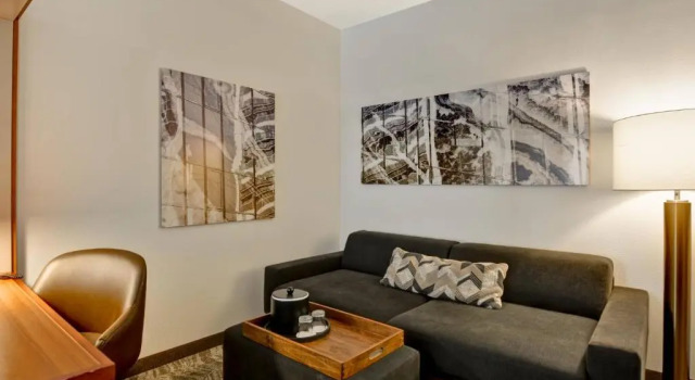 Четырёхместная студия SpringHill Suites by Marriott Cincinnati Midtown