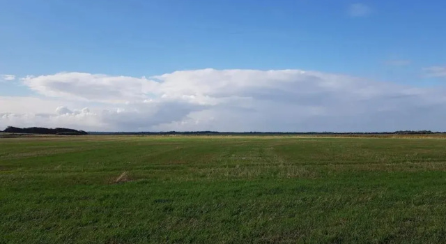 Коттедж 4 person holiday home in Ringkøbing