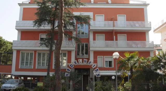 Edelweiss