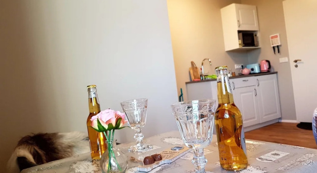 Студия Skálatjörn Guesthouse