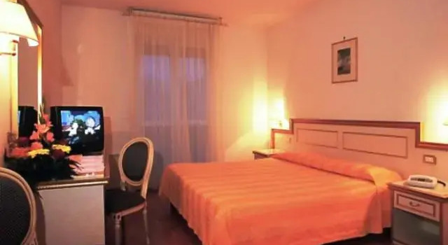 Двухместный номер Standard Hotel Park Venezia