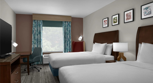 Четырёхместный номер Standard Hilton Garden Inn Greensboro Airport
