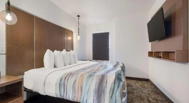 Четырёхместный люкс SureStay Hotel By Best Western Tuscaloosa Southeast