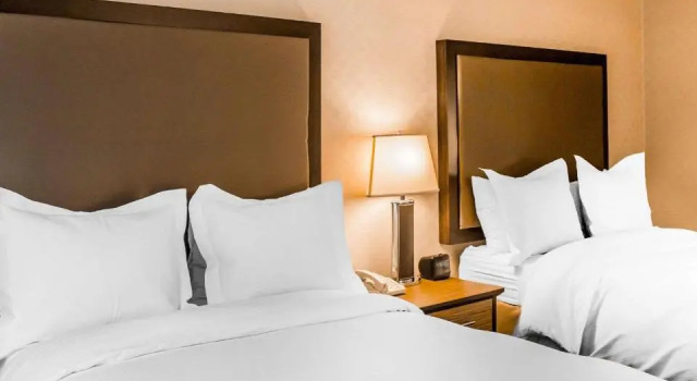 Номер Standard The Woodlands Inn