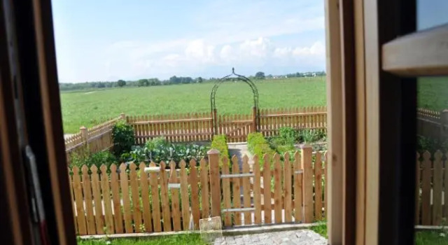 Apartment mit Bergblick Springerhof