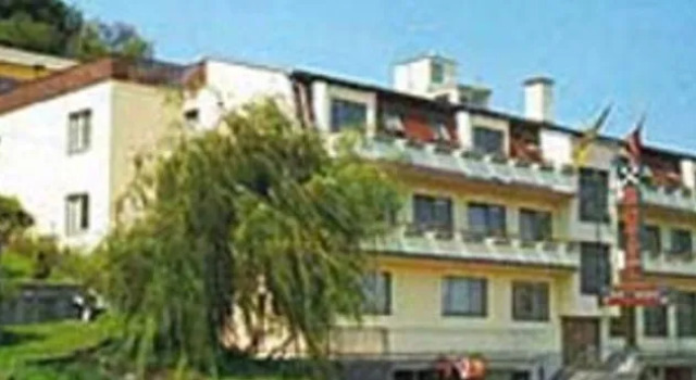Buschenreiter