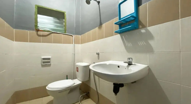 Апартаменты OYO 90198 Aleesya Homestay