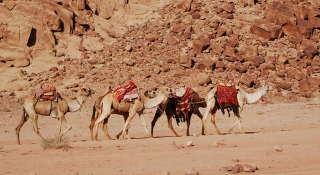 Wadi rum camp, Book Hotel SPA Hotels in Wadi Rum, SPA
