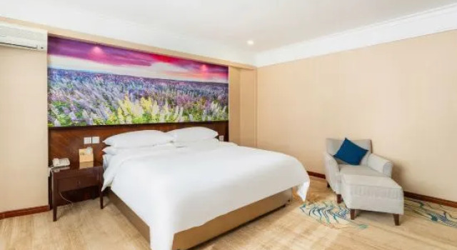 Одноместный люкс Superior Golden Oriental Business Hotel