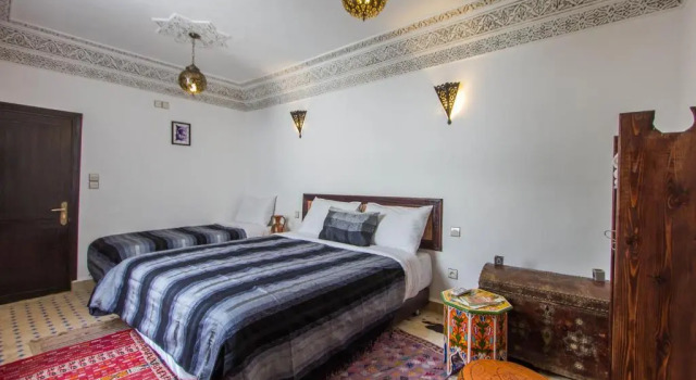 Camera Standard Riad Taha