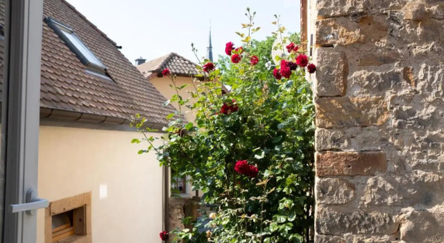 Апартаменты Klimatisiertes Loft im Herzen von Deidesheim