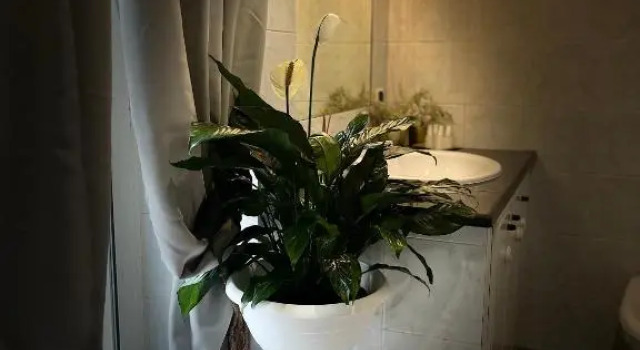 Апартаменты AL CENTRO apartment