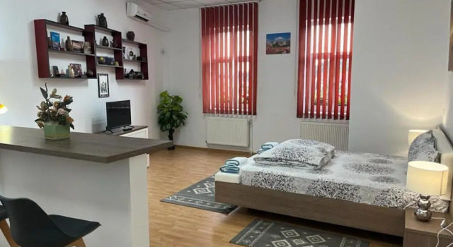 Двухместная студия Deluxe Panorama Studio Sighisoara