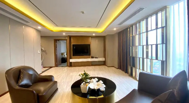 Апартаменты Presidential Toan Thang Stone Hotel