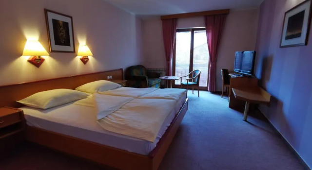 Двухместный номер Standard Hotel Delminium