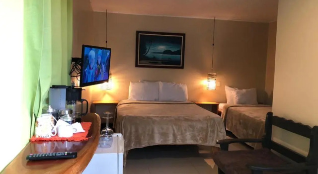 Номер Standard Freddy`s Place B&B