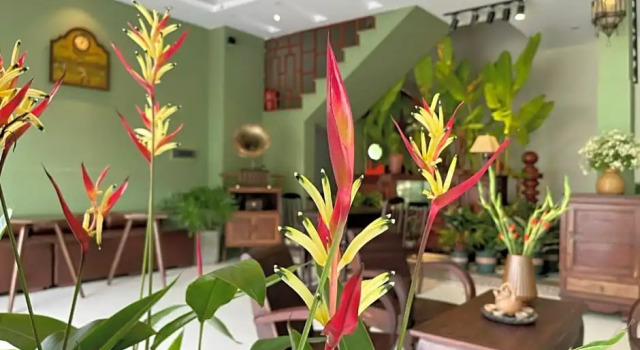 Hai Anh Hotel
