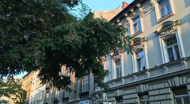 Apartament Amaryllis, Забронировать Апартаменты/квартира Апартаменты Кракова, рядом с Church of the Holy Apostles Peter and Paul, Апартаменты/квартира