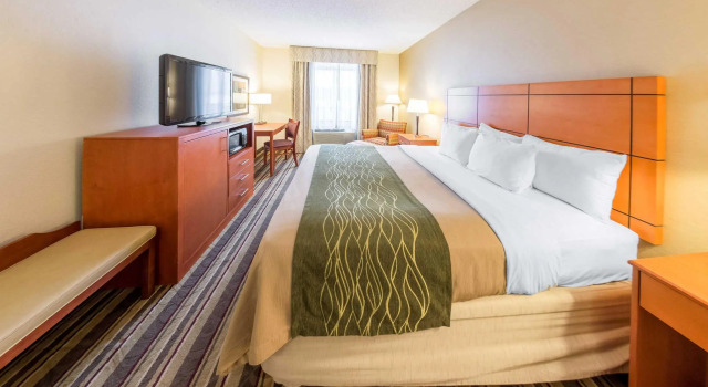 Номер Standard Comfort Inn Metro Airport