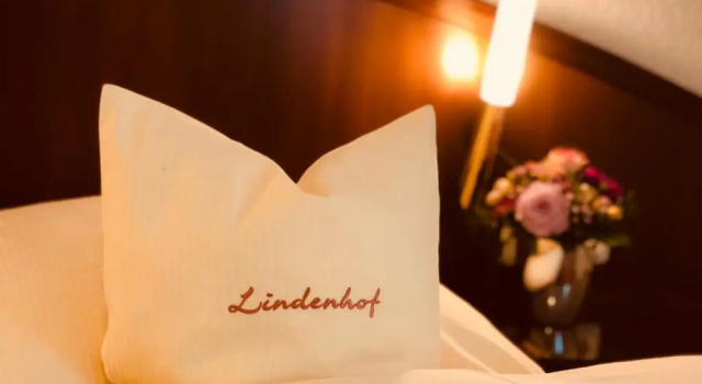 Номер Comfort Hotel Lindenhof Kasteel