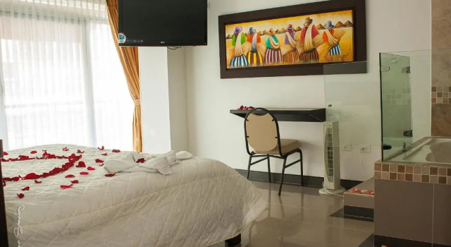 Полулюкс Hotel Andinos Plaza Pitalito
