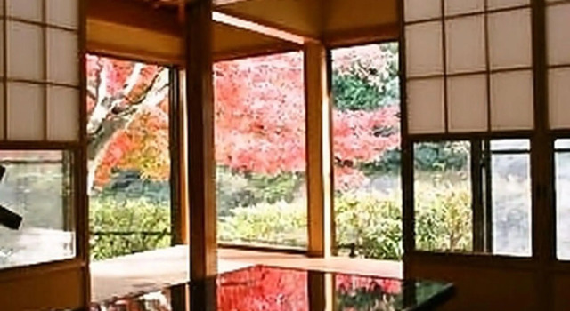 Люкс Akigawa Valley Inn Kinkoukaku