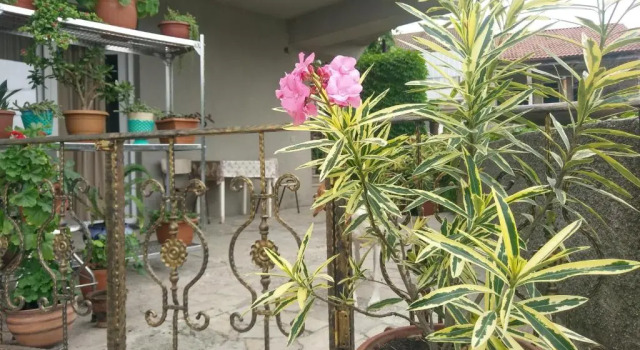 Семейный номер Standard Guest House Vista