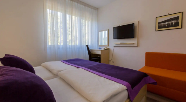 Двухместный номер Standard Hotel Slaven