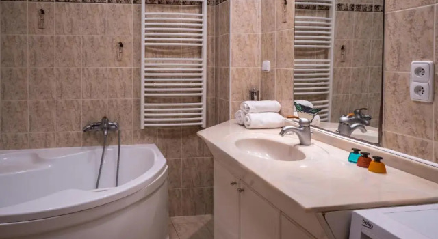 Люкс Hotel U Labutě