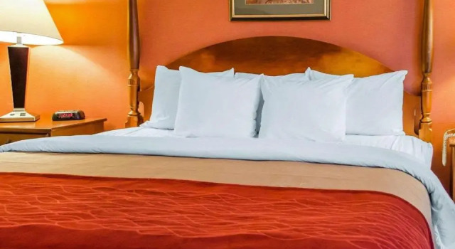 Люкс Comfort Inn & Suites York North