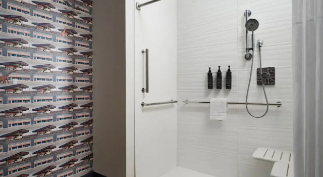 Двухместный номер Standard с видом на озеро Aloft by Marriott Orlando Lake Buena Vista