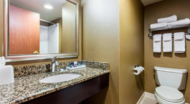 Двухместный номер Standard Delta Hotels by Marriott Fargo