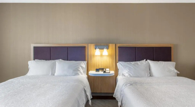 Четырёхместный номер Standard Hampton Inn & Suites Albany-Airport