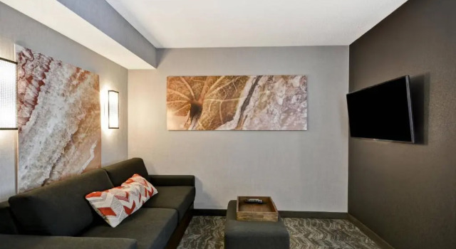 Люкс с 2 комнатами SpringHill Suites by Marriott Indianapolis Airport/Plainfield
