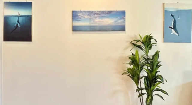จิมเบ โคซี่เทล เขาหลัก Zimbei Cozytel Khaolak, Забронировать Хостел Отели Южного Таиланда с парковкой, Парковка