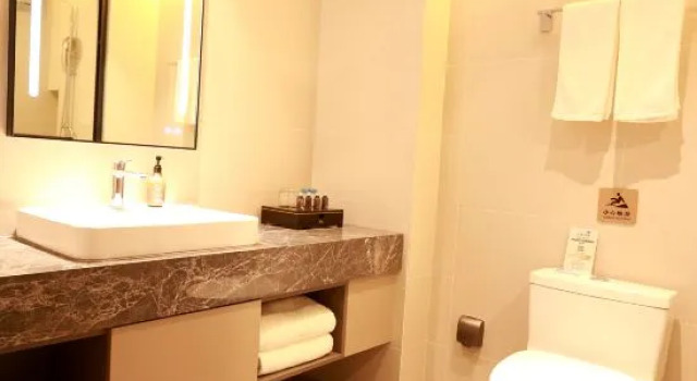 Люкс Homeinn Selected Hotel (Yixing Wanshi Industrial Park Huadong Stone City)