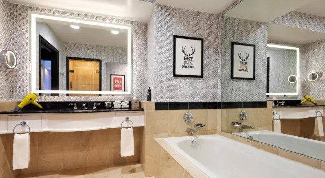 Двухместный номер Deluxe Hyatt Centric Downtown Minneapolis