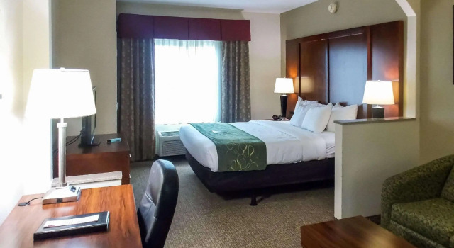 Люкс c 1 комнатой Comfort Suites Inn at Ridgewood Farm